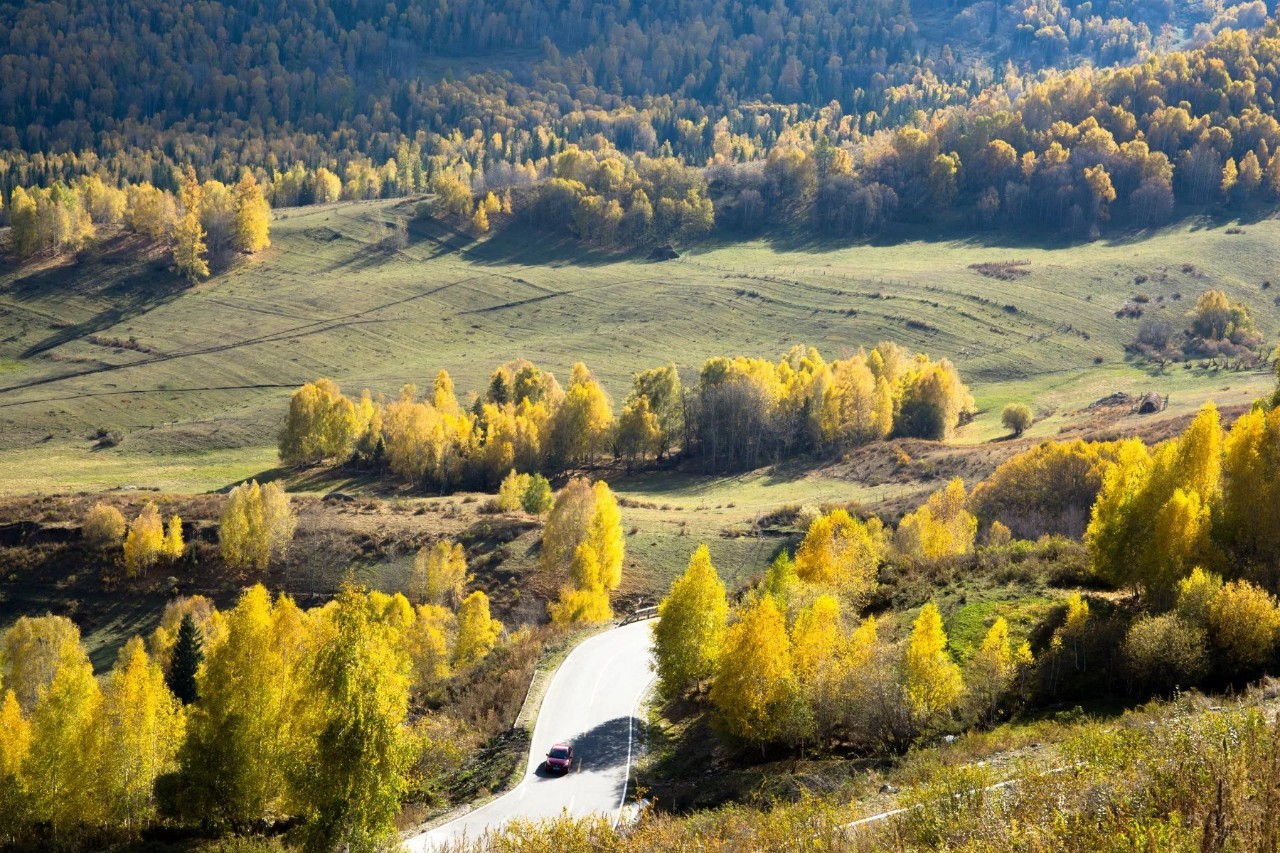 新疆阳光下的故事篇章