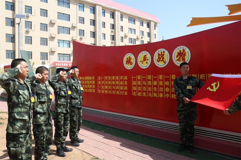 石家庄,崛起中的现代化都市魅力解读